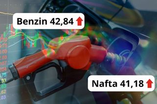 Zdražování benzinu a nafty nabírá na otáčkách! Cena nafty se za jediný den zvedne o korunu - Garáž.cz